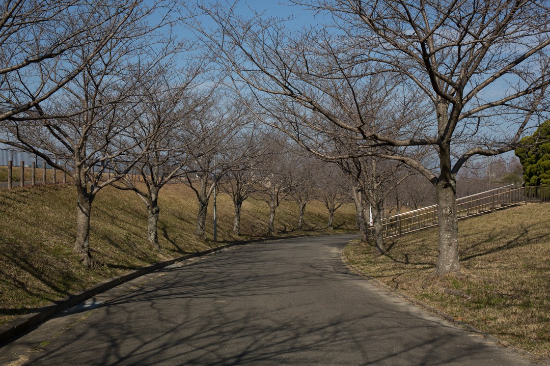 佐賀県立森林公園